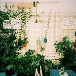 Mavi Ege Butik