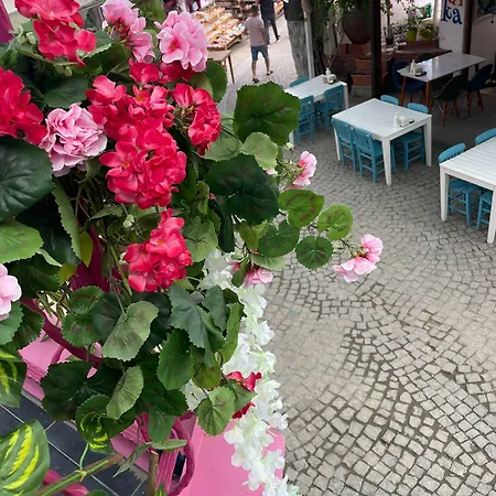 Mavi Ege Butik * Sigacik