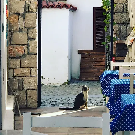 Mavi Ege Butik * Siğacık